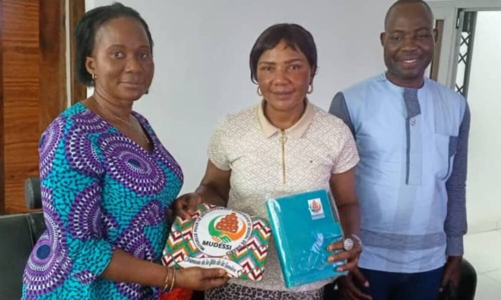 Région du Guémon- Sibably s’apprête à célébrer son électrification ...