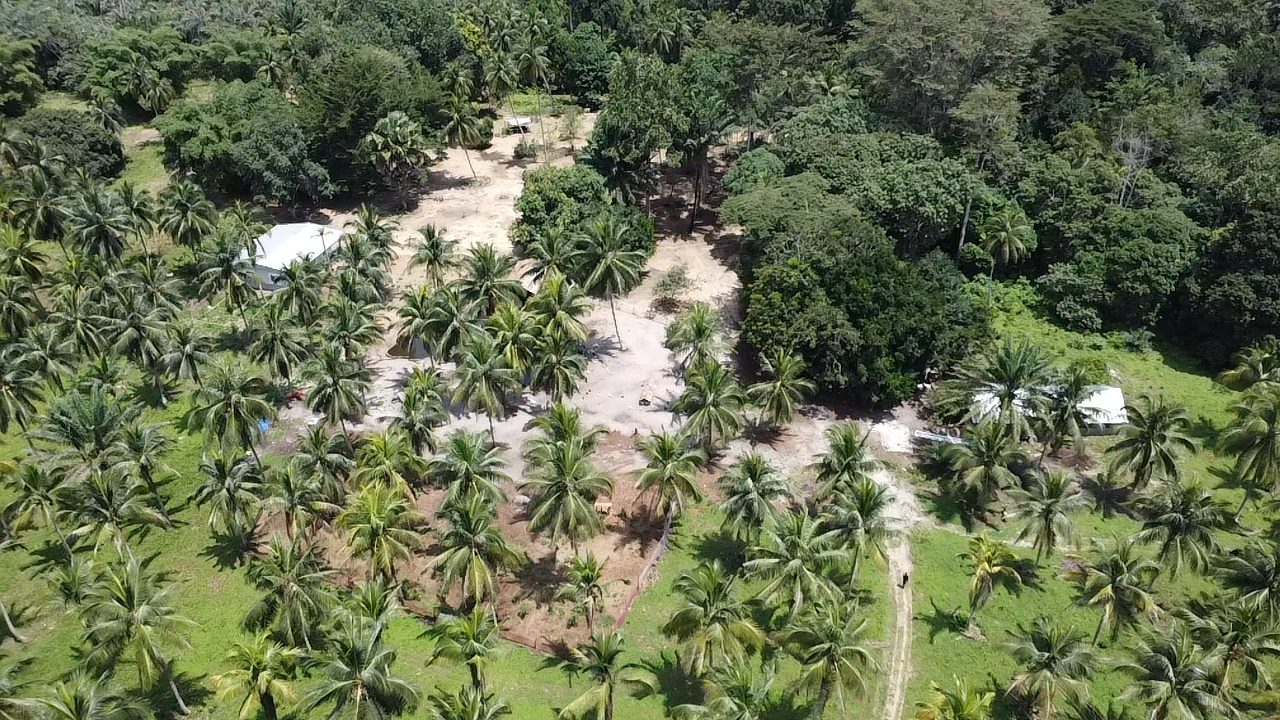 Une vue aérienne du domaine de monsieur Kouda, non loin de la ville d'Adiaké