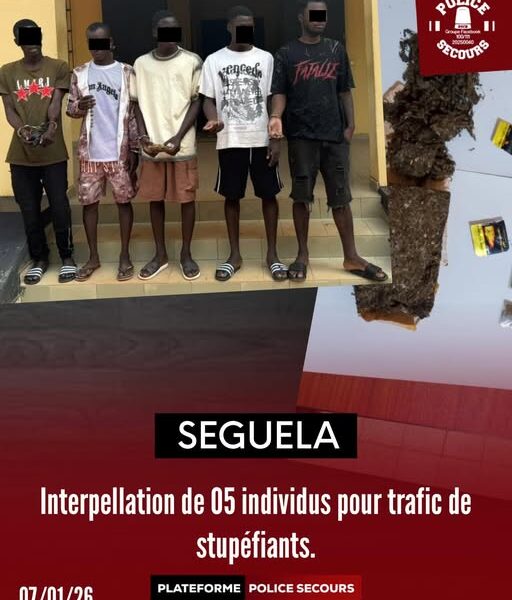 Séguéla- Un réseau de jeunes trafiquants de drogue démantelé par la ...